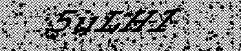 An error has occurred while getting captcha image